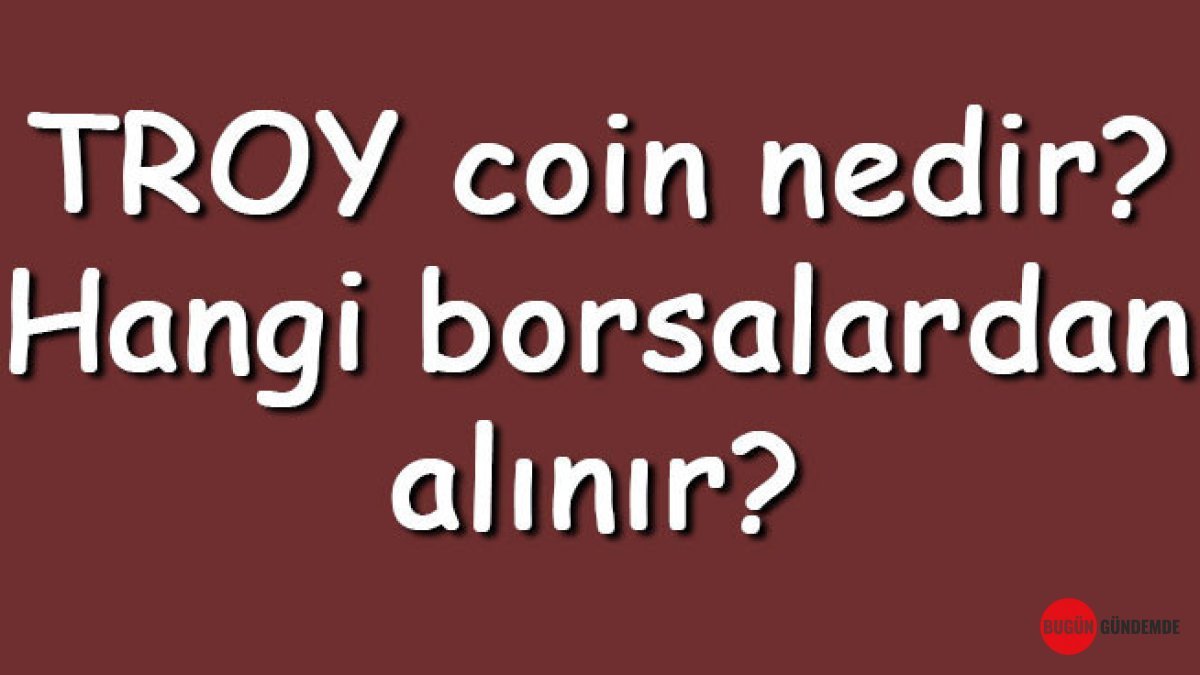 Kripto Dünyasının Gizemli Oyuncusu TROY: Geleceği Parlak mı, Yatırımcılar Dikkat!