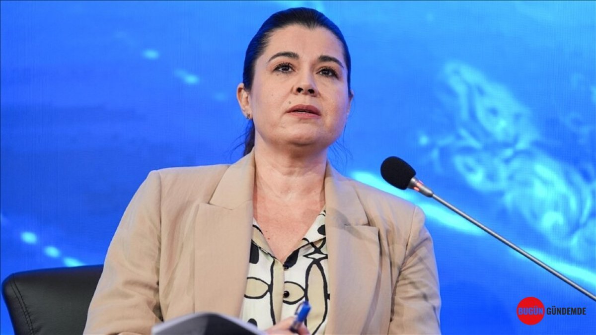 Türkiye'nin Enerji Devrimi Kapıda! Elektrik Piyasasına Gelen Devrim Niteliğindeki Yenilik 'Konumsal Fiyatlandırma' Yolda!