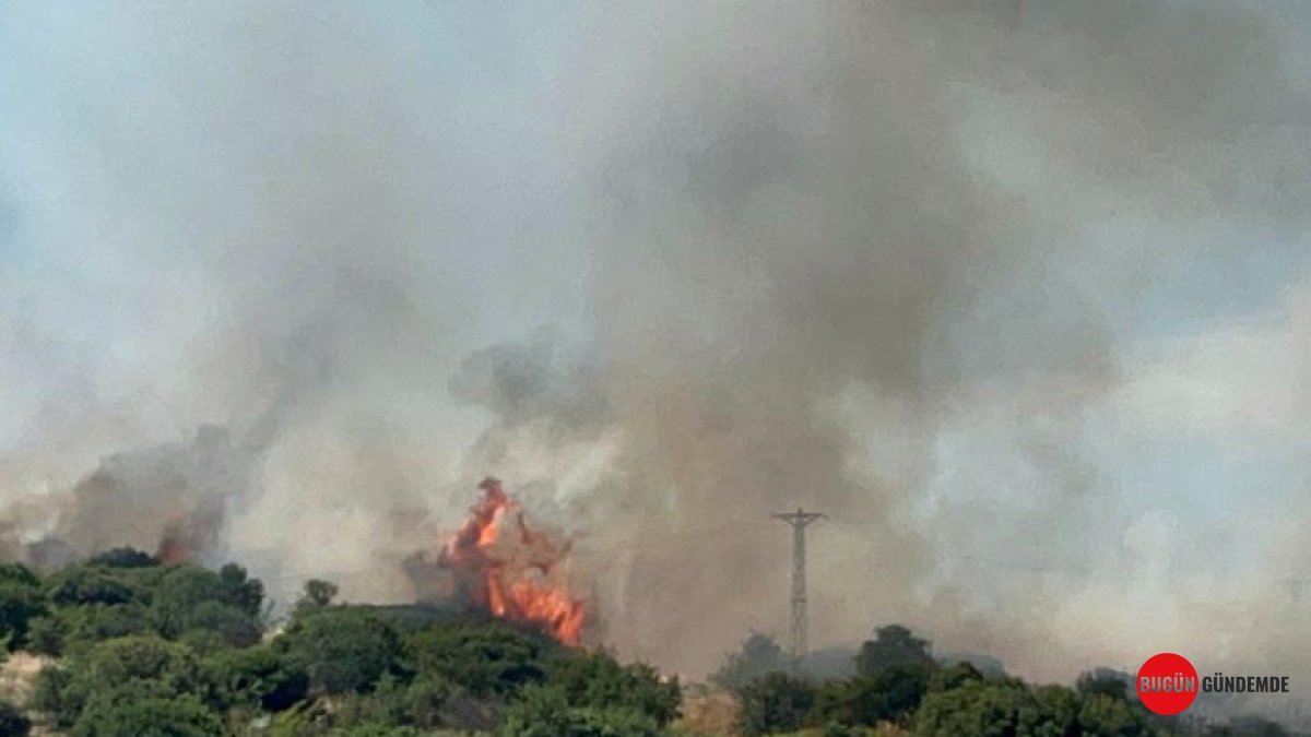 Çanakkale'de Kabus: Bozuk Ormanlık Alanda Kontrolden Çıkan Yangın Nefesleri Kesti! Havadan ve Karadan Savaş Sürüyor