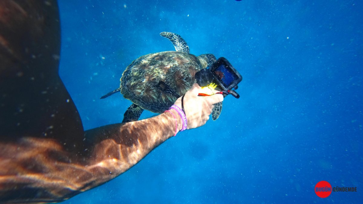 Efsane Aksiyon Kamerası GoPro Satışa Çıktı! Çinli Devler Fırtınası Kopardı: Rekabet Mi Yoksa Son Mu?