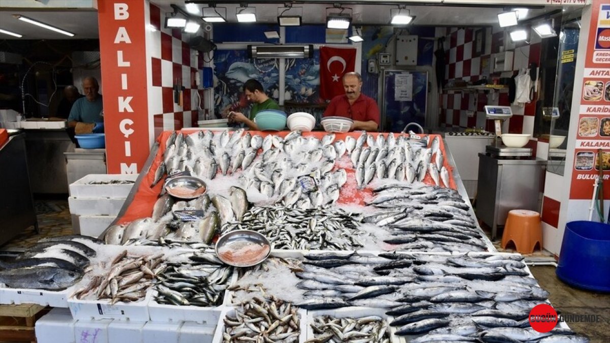 Av Sezonu Açıldı: Karadeniz Fethini Palamutla Kutluyor, Tezgahlar Bollukla Doldu!