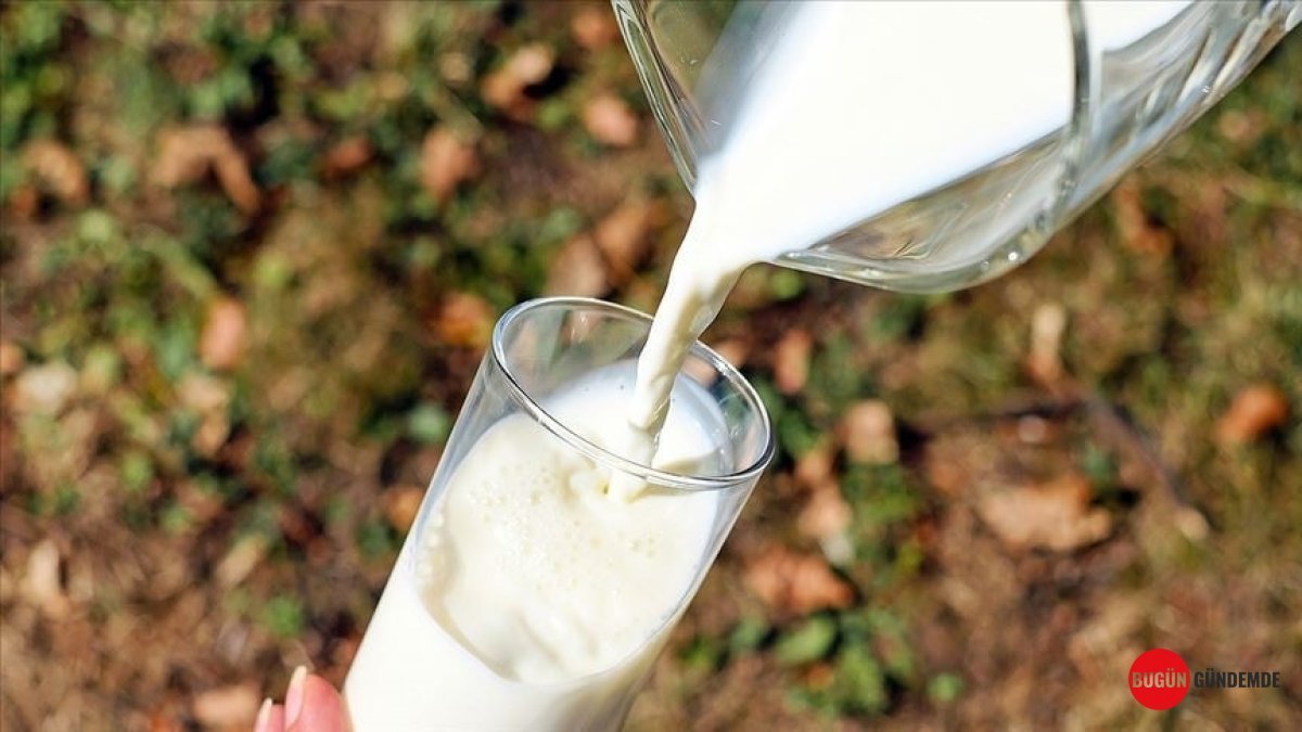 Çiğ Sütün Yeni Fiyatı Resmi Olarak Açıklandı! Üreticiyi Neler Bekliyor?