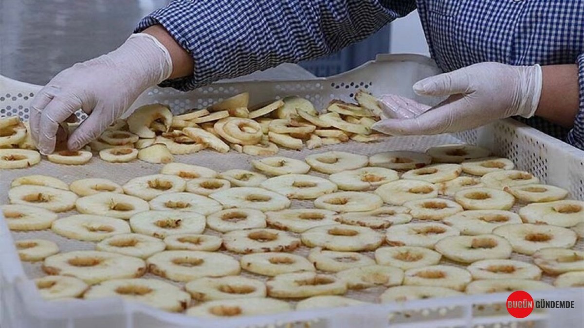 Ürün Fazlası İsrafa mı Gidiyor? Ziraat Mühendislerinden Devrim Niteliğinde Çözüm: Çiftçi de Kazanacak, Ülke de!