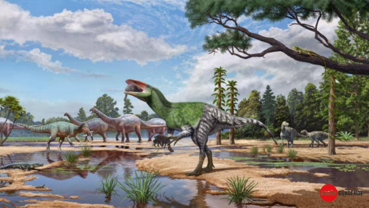 100 Yıllık Çekmece Sırrı: Müzede Unutulan Fosil, Avrupa'nın En Gizemli Dinozorunu Ortaya Çıkardı!