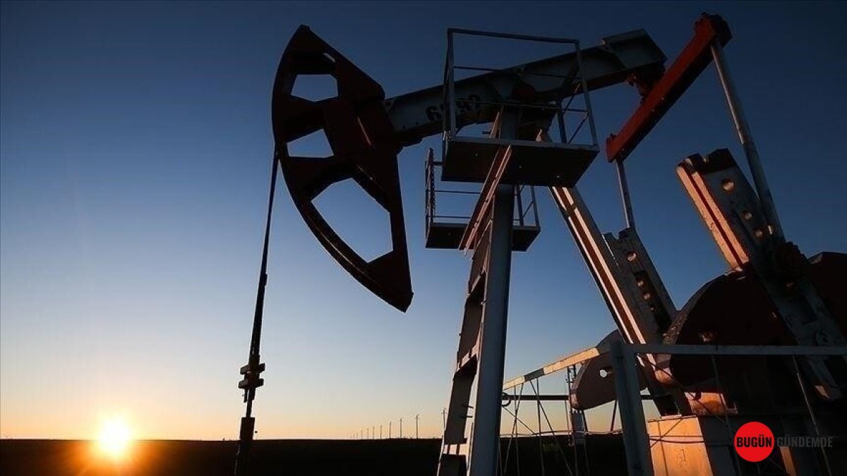 2050'de Enerji Talebi Çılgınca Artacak: OPEC'ten Şaşırtan Rakamlar Ortaya Çıktı!