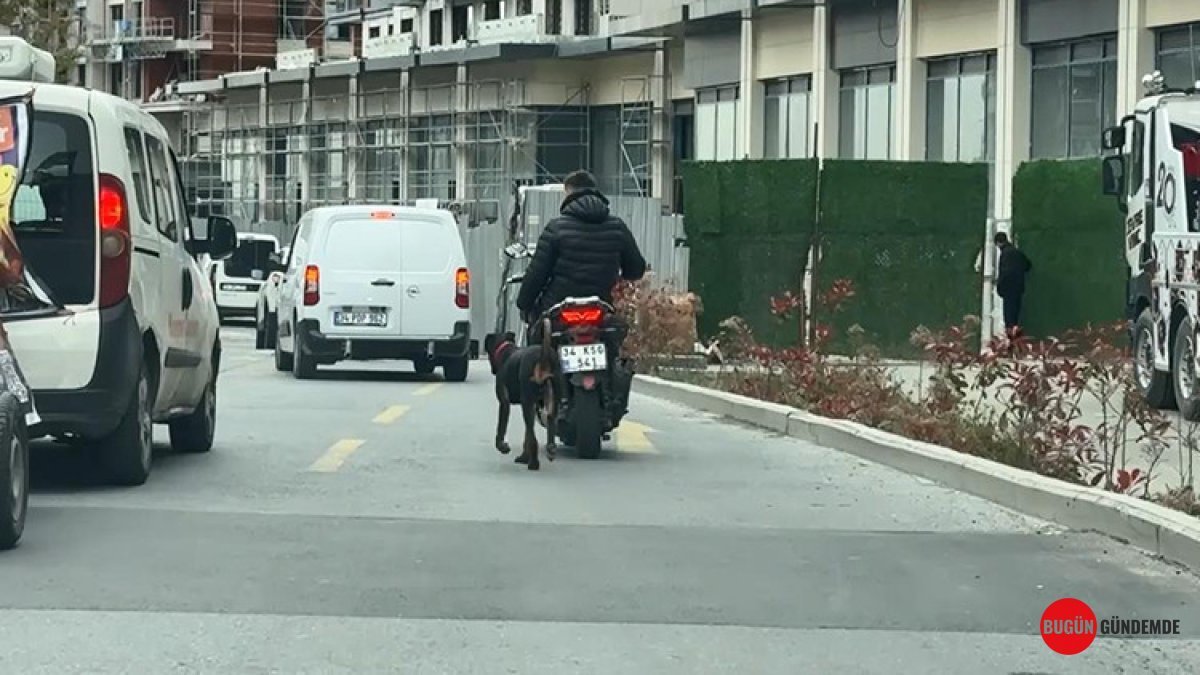 Motosiklete Bağladığı Köpeği Koşturdu! Yüreklere Dokunan O Anlar Sonrası ŞOK CEZA!