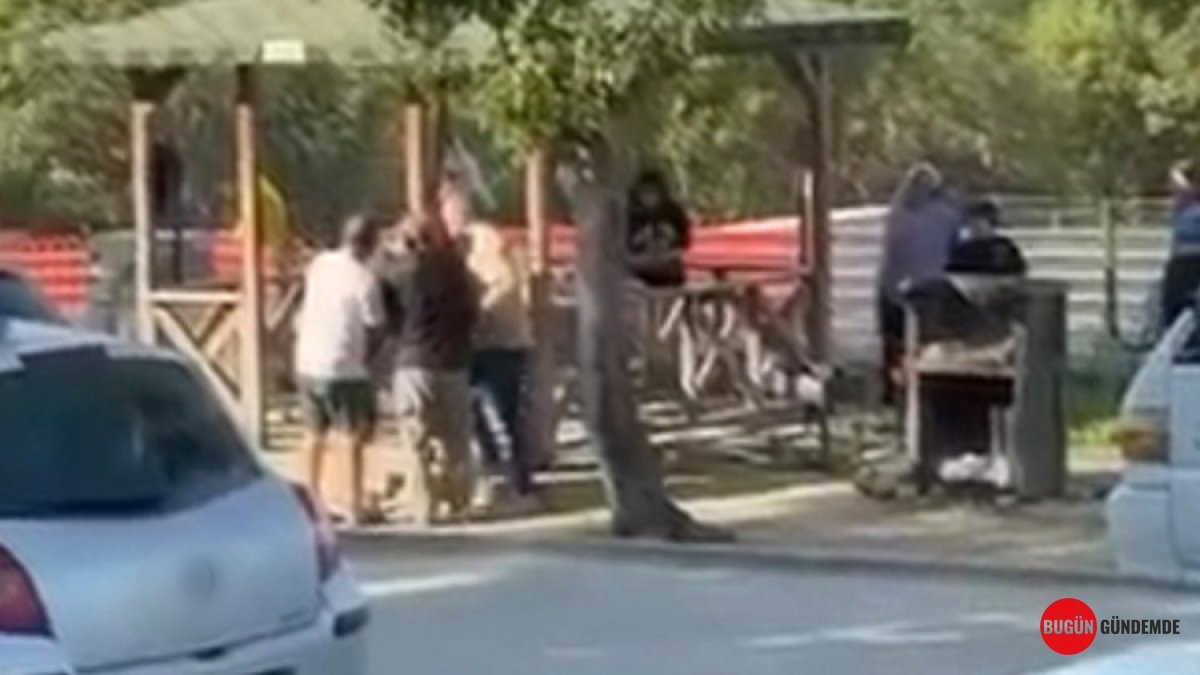 Cumalıkızık Parkı'nda Kanlı Piknik: Aileler Tekme-Tokat Birbirine Girdi! O Anlar Kamerada