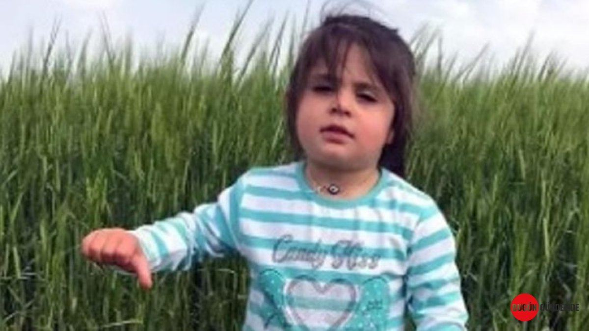 Leyla Aydemir Davasında Anne Şükran'ın İfadesi Dosyayı Yeniden Açtı: Amca Tutuklandı, Sürpriz Gelişme Kapıda!