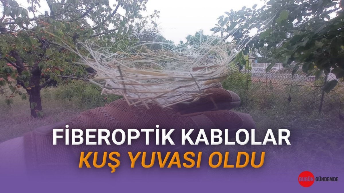 Ukrayna Savaşından Akıl Almaz Manzara: Kuşlar Fiberoptik Kablolarla Yuva Yapıyor!