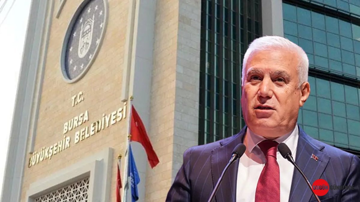 Pasta Kutusu Sırları ve Döviz İddiaları: Bozbey Örgütü Dosyasında ŞOK Detaylar Ortaya Çıktı!