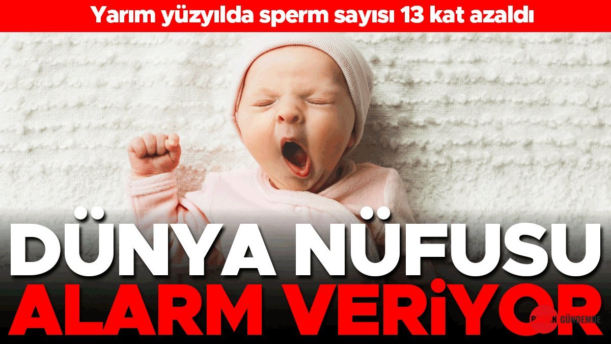 İnsanlığın Geleceği Tehlikede Mi? Yarım Yüzyılda Sperm Sayısında Şok Edici 13 Kat Düşüş!