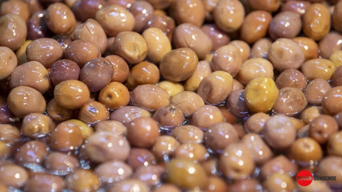 Zeytin Ağaçları Ballandı: Rekor Beklenen Hasat 1 Milyar Dolarlık Kapıyı Aralayacak!