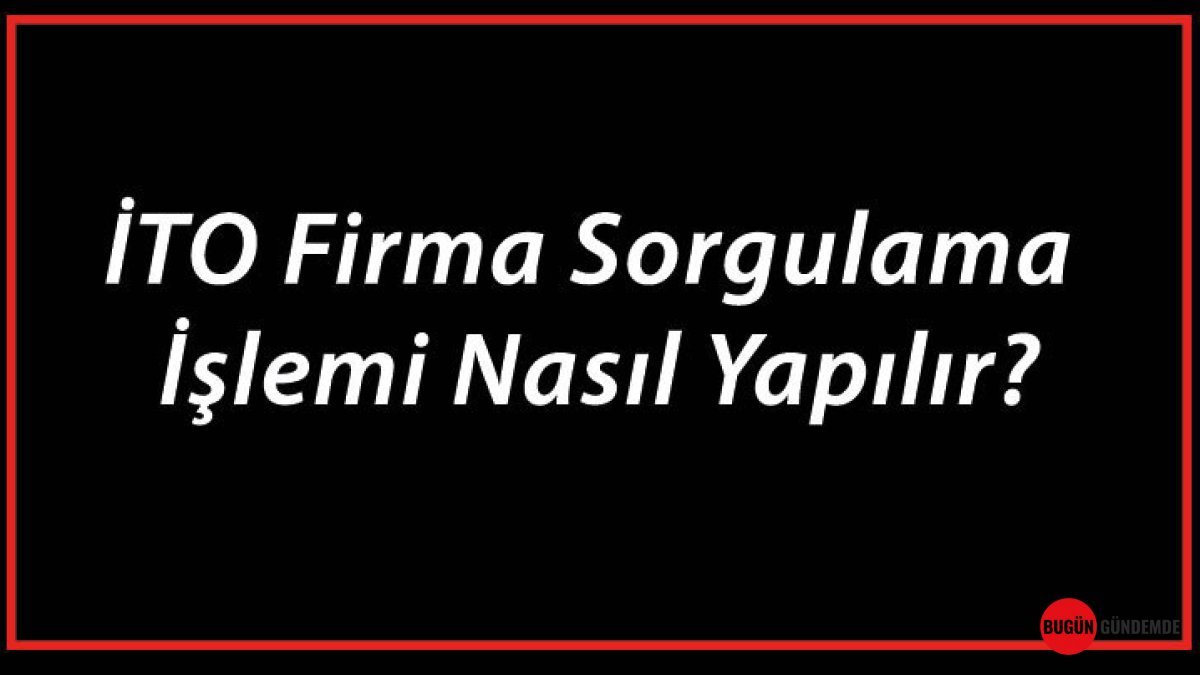 İstanbul Ticaret Odası'nda Şirket Bilgilerine Hızlı Erişim: İşte Tüm Detaylar!