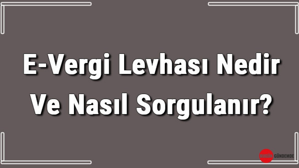 Vergi Levhanız Artık Dijital! E-Vergi Levhası Nedir, Nasıl Sorgulanır? Detaylı Rehber