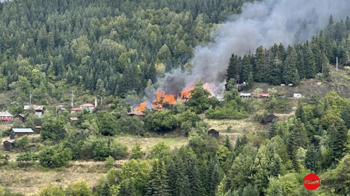 Kastamonu'da Kabus Gecesi: Ahşap Ev Alevlere Teslim Oldu, Yangın 4 Haneye Yayıldı!